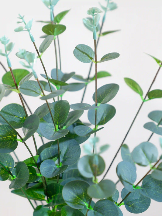 Frosted Eucalyptus Bunch