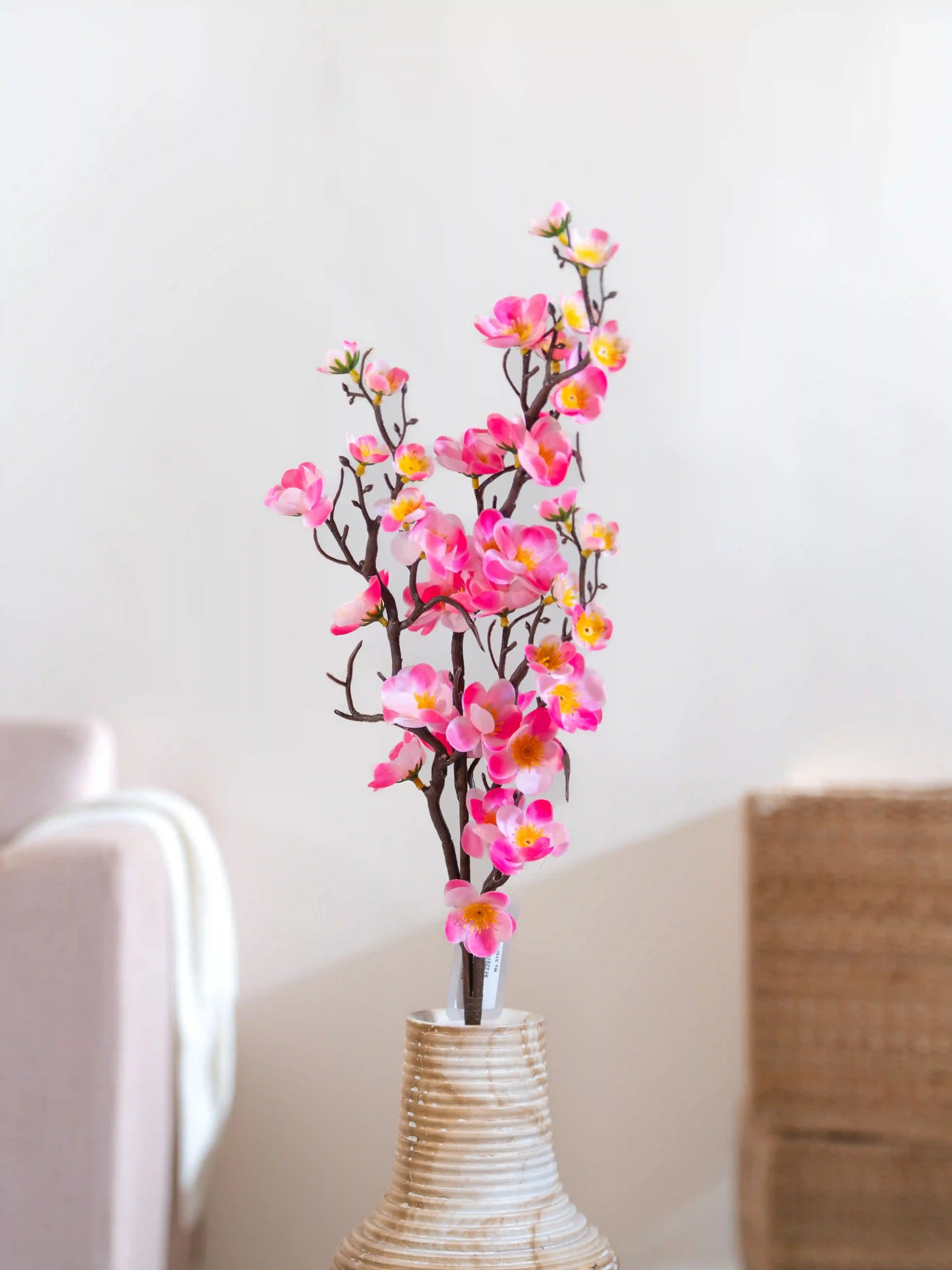 Cherry Blossom