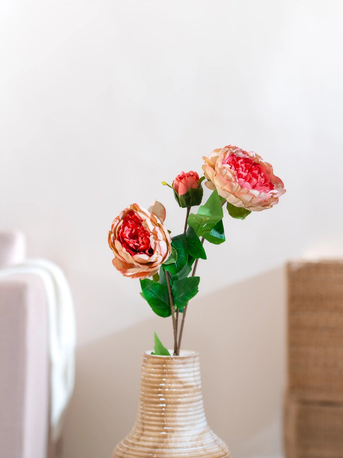 Autumn Peony