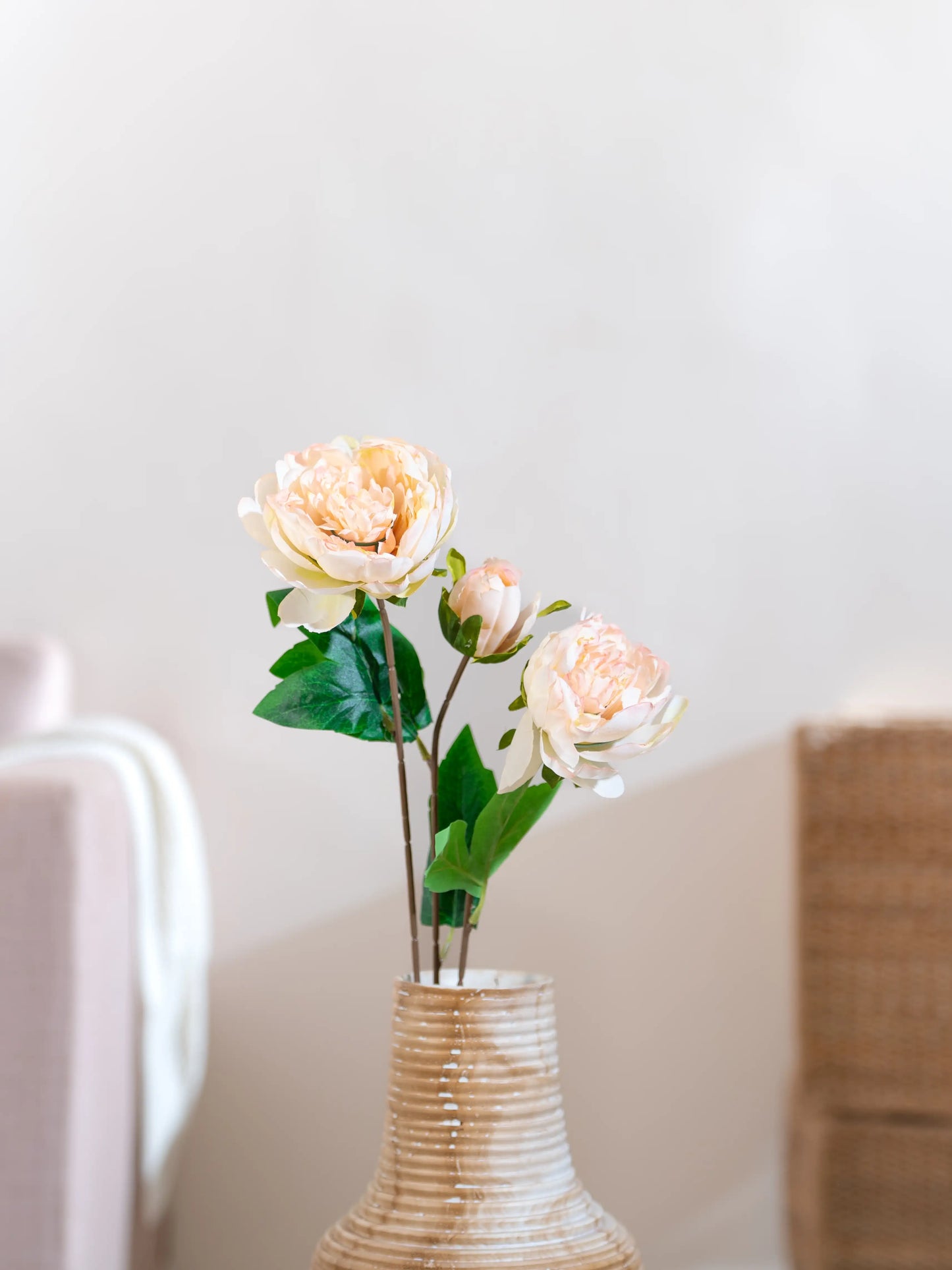Autumn Peony