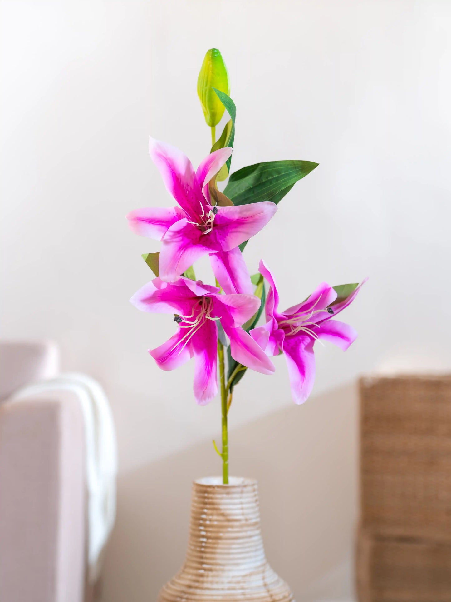 Oriental Lily