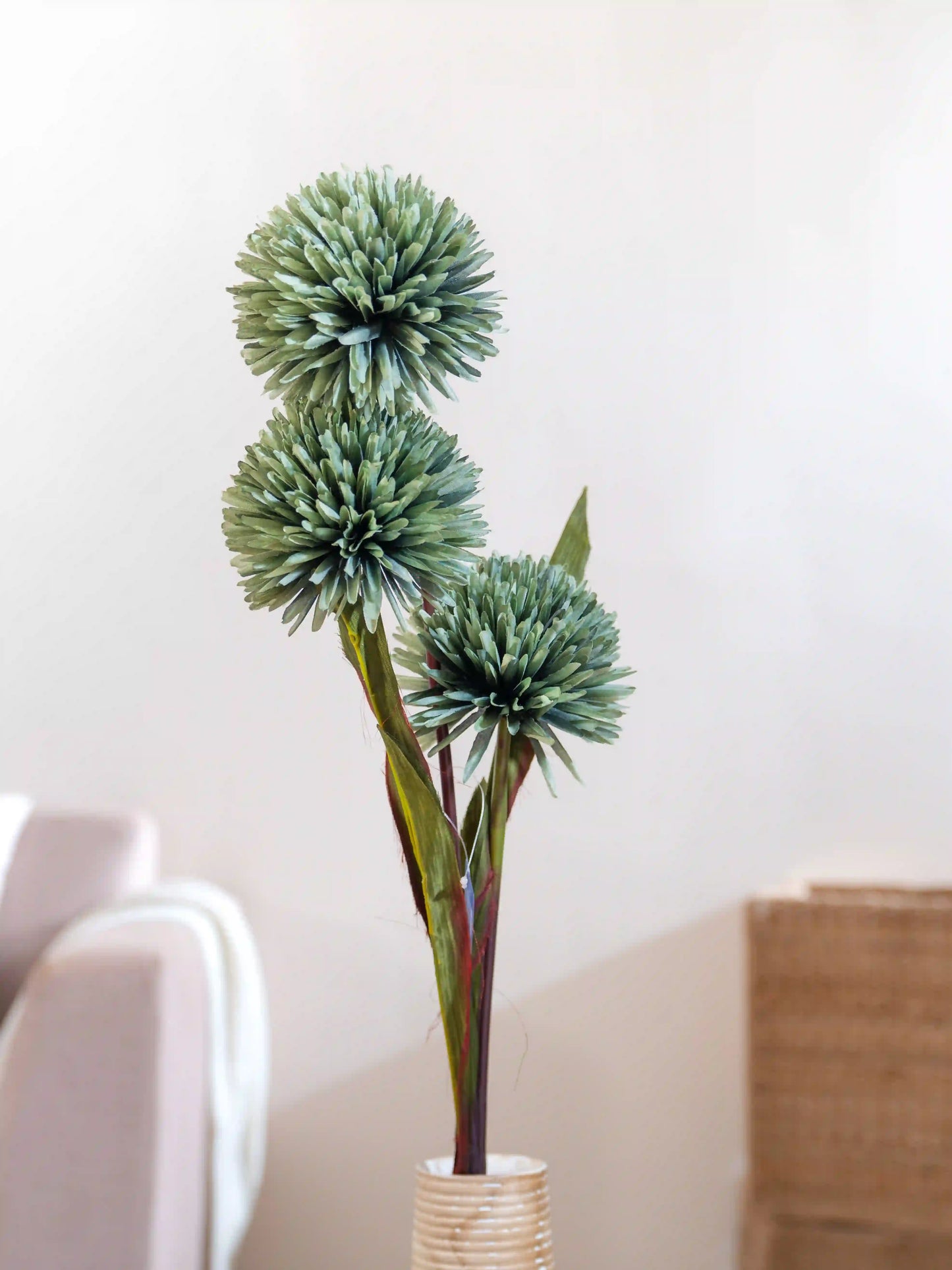 Jumbo Ball Chrysanthemum