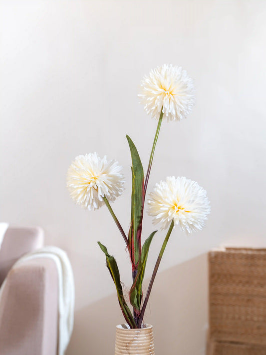 Jumbo Ball Chrysanthemum