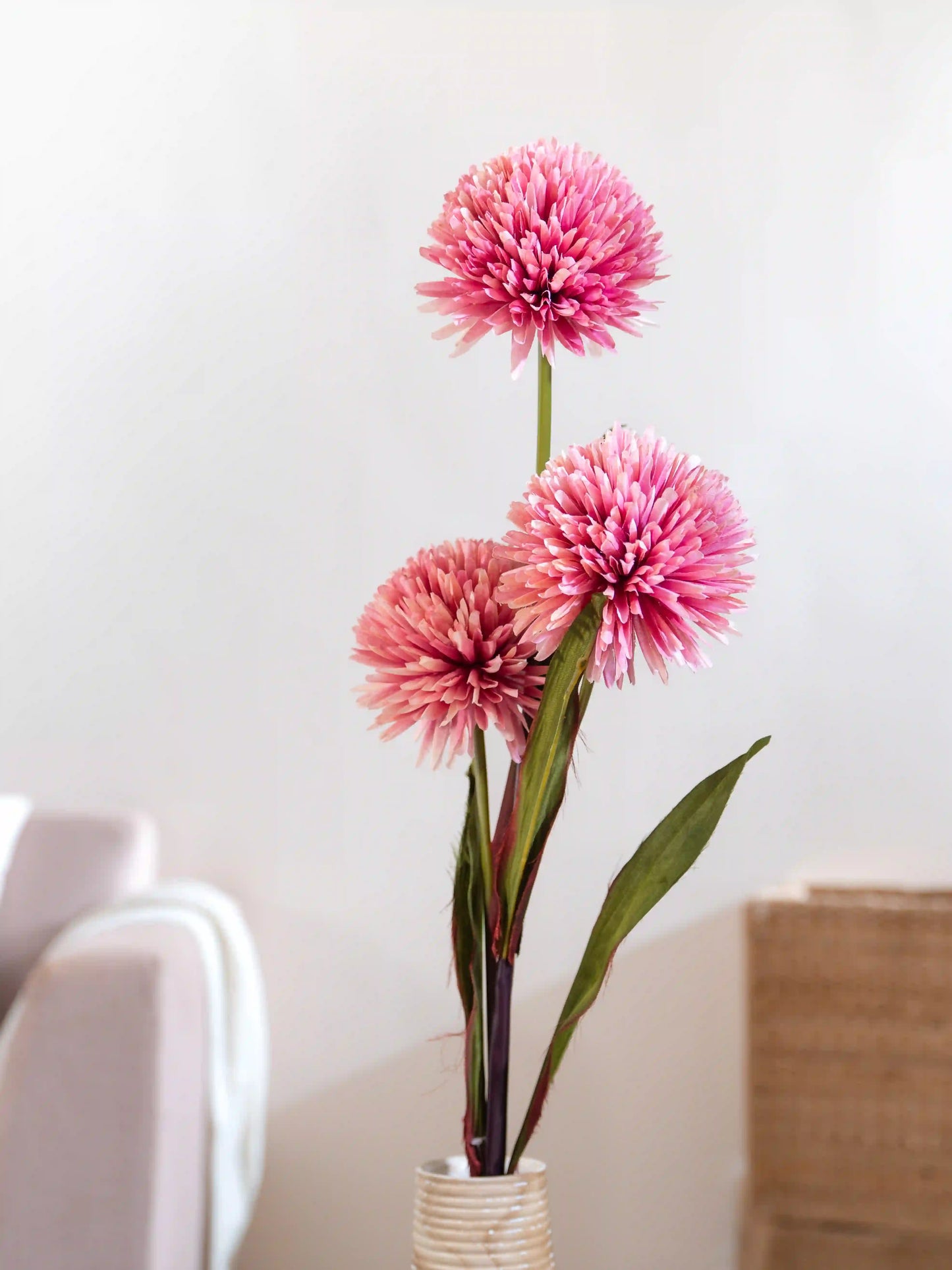 Jumbo Ball Chrysanthemum
