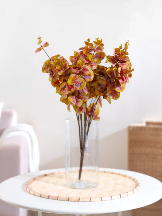 Eucalyptus Colour Shaded