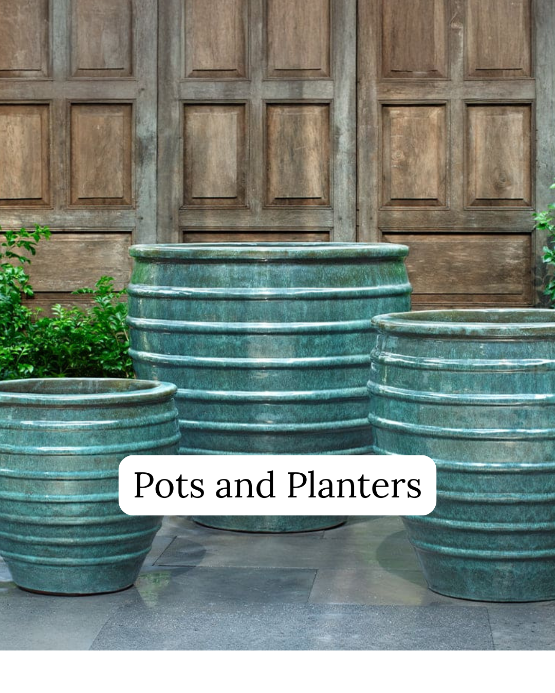 Pots & Planters