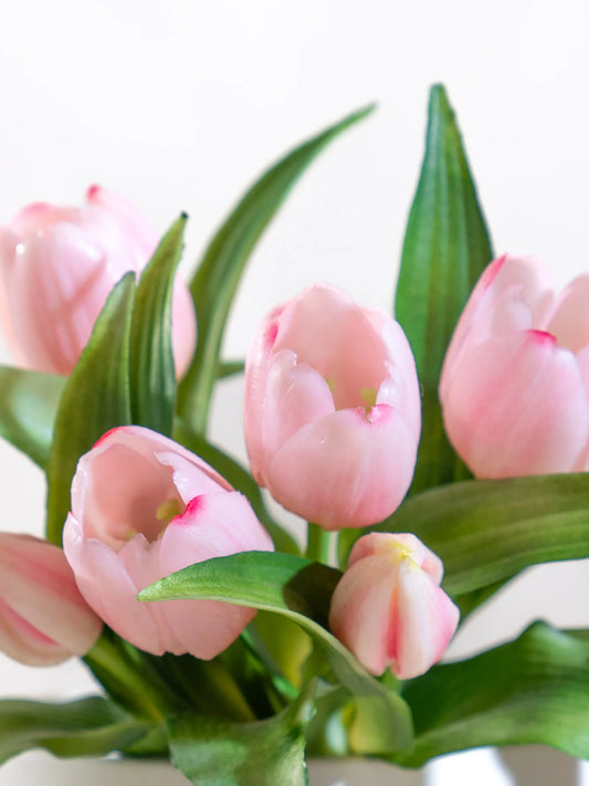 Latex Tulip