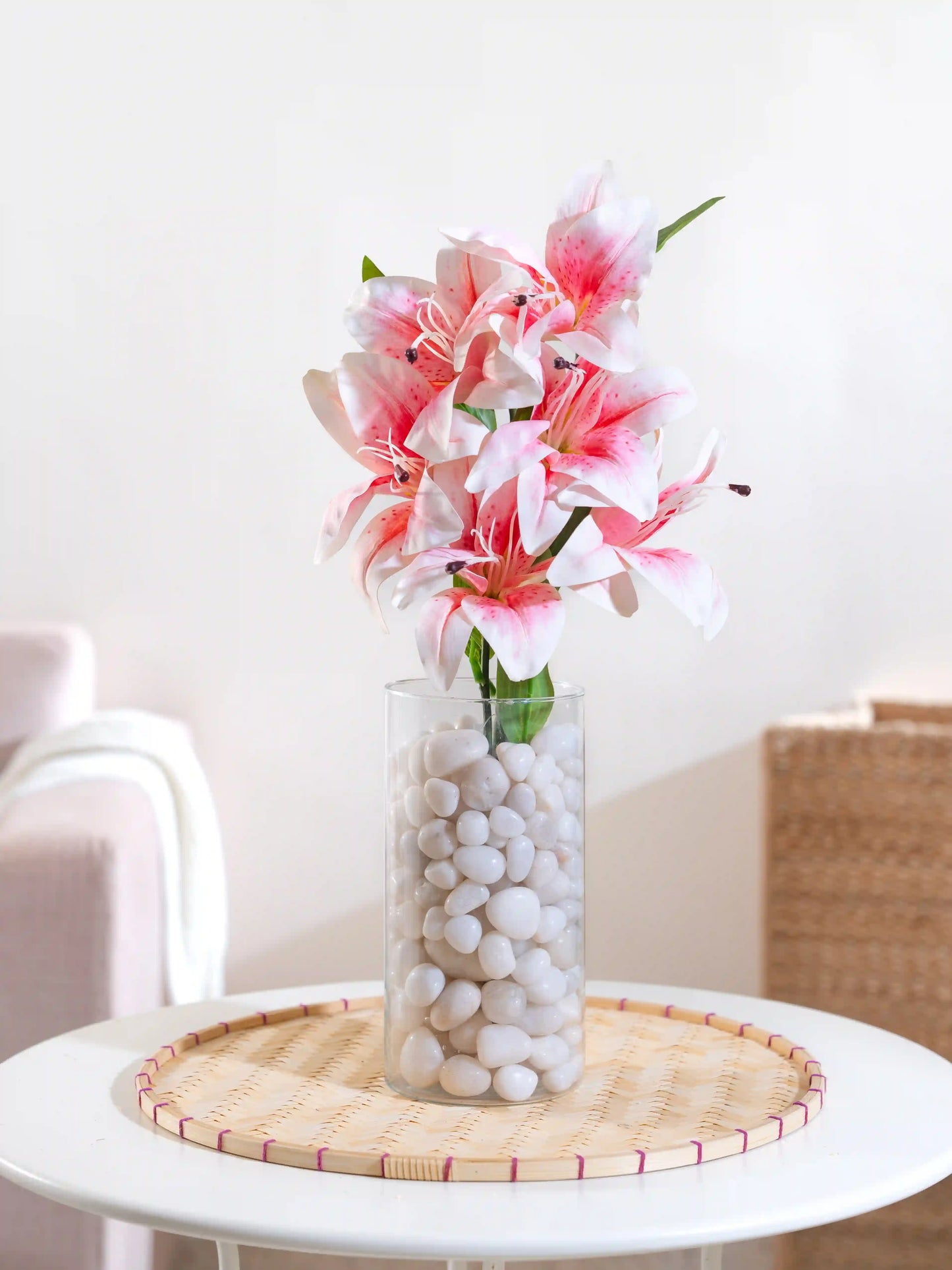 Asiatic Lily