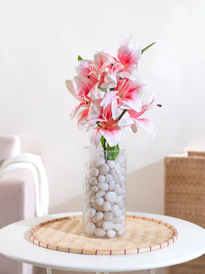 Asiatic Lily