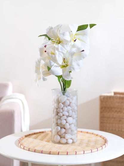 Asiatic Lily