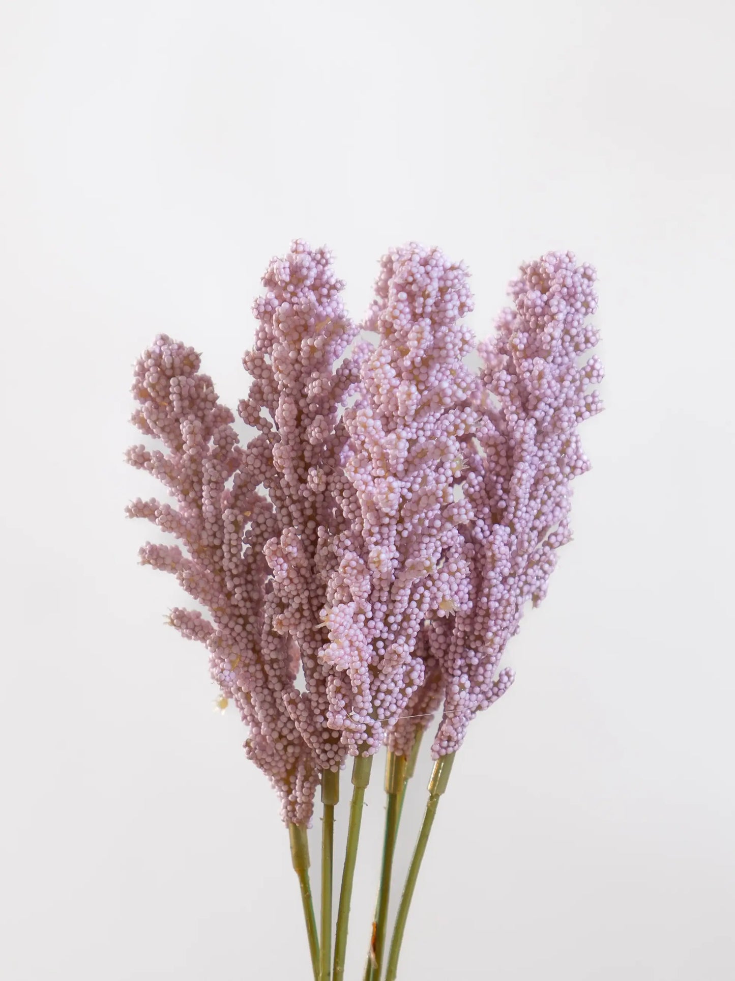 Wheat Flowers