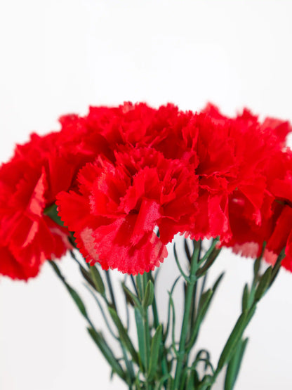 Carnations