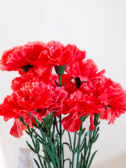 Carnations