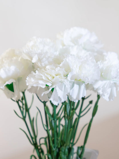 Carnations