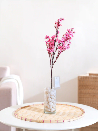 Gypsophila