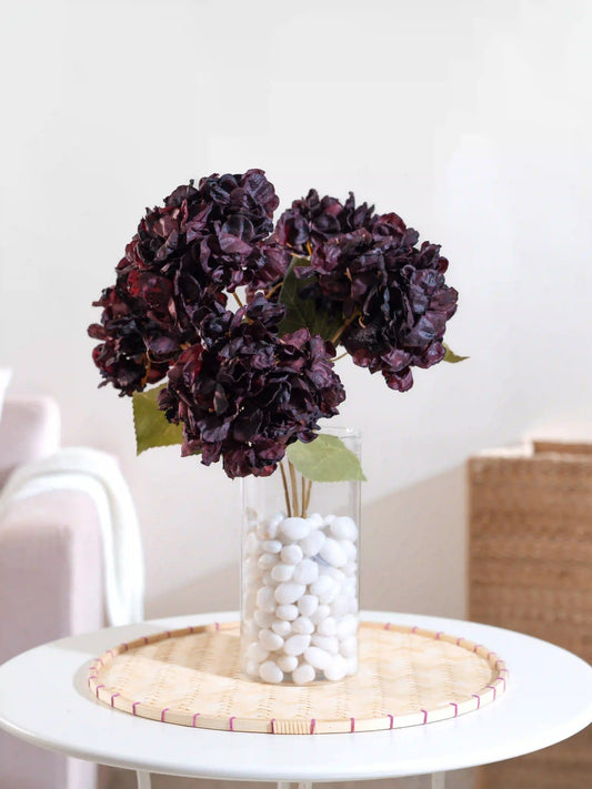 Frosted Hydrangeas