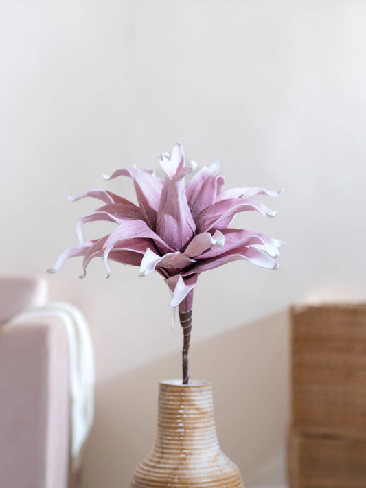 Queen Dahlia