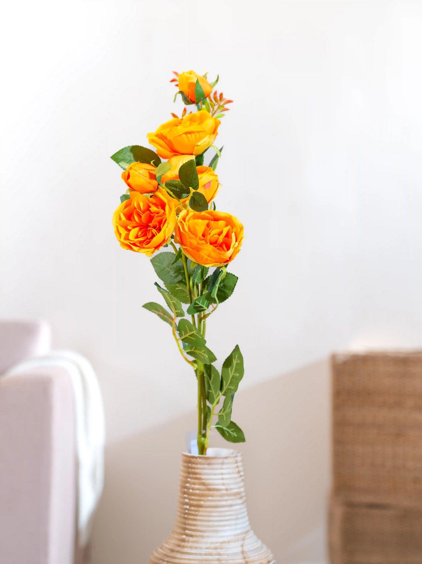 Cabbage Rose