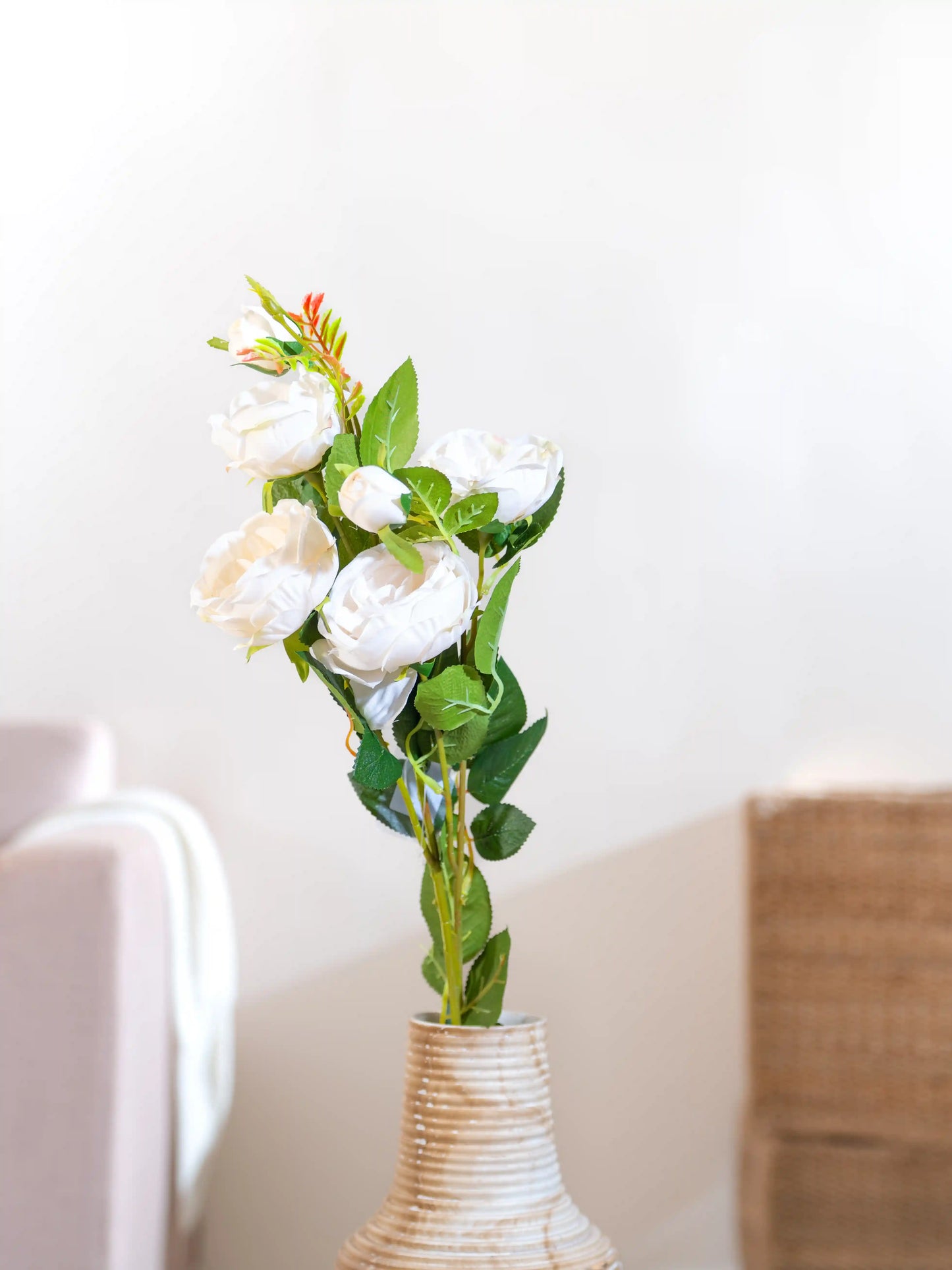 Cabbage Rose