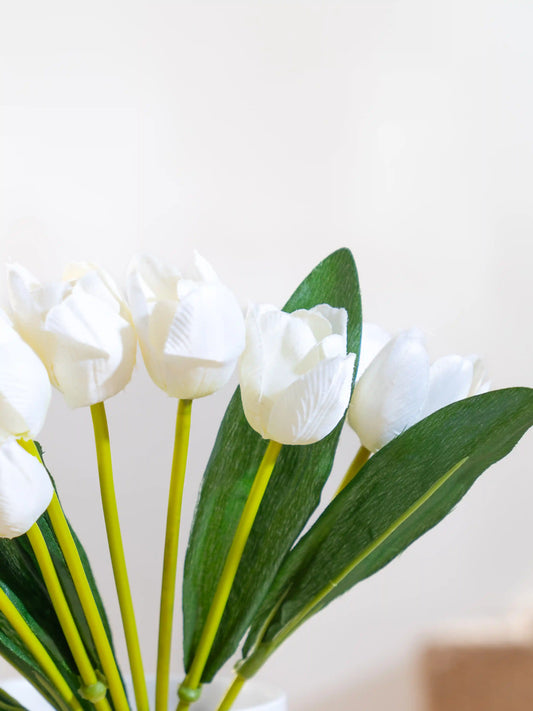 Tulips