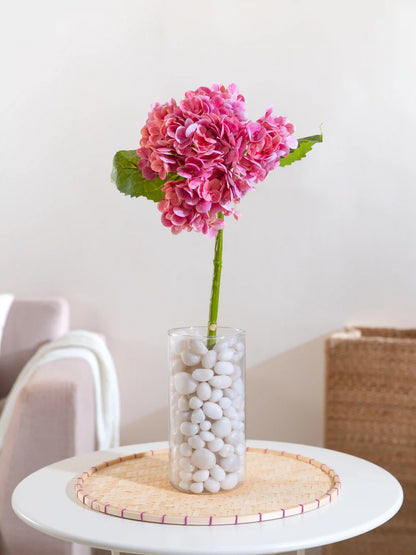 Hydrangea