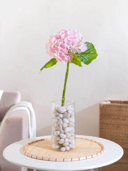 Hydrangea