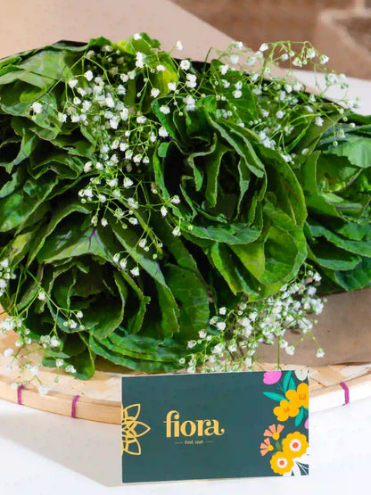 Brassica