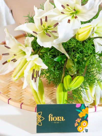 Asiatic Lily