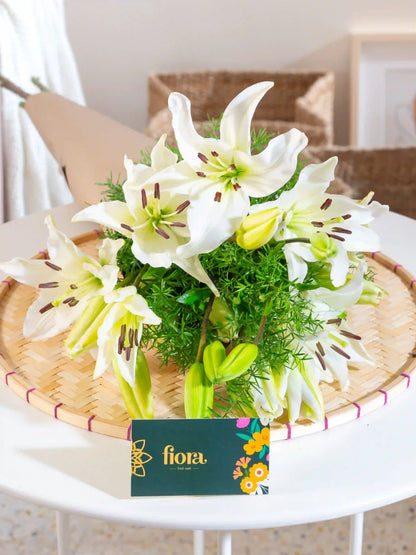 Asiatic Lily