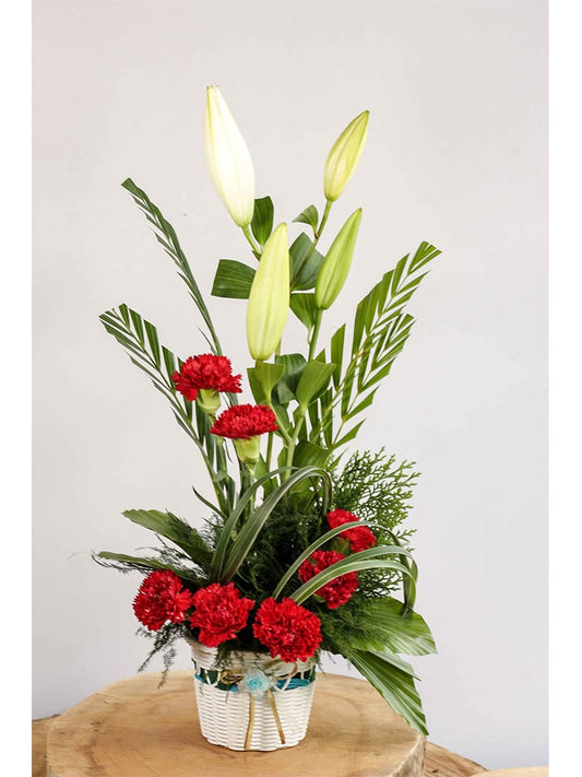 Humble Wishes