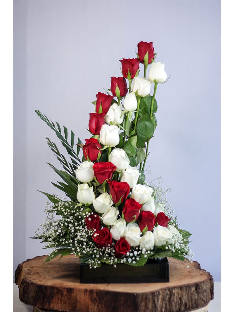 Wars of Roses