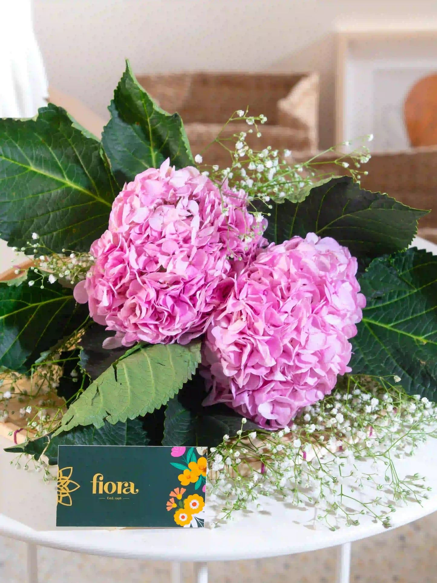Hydrangea