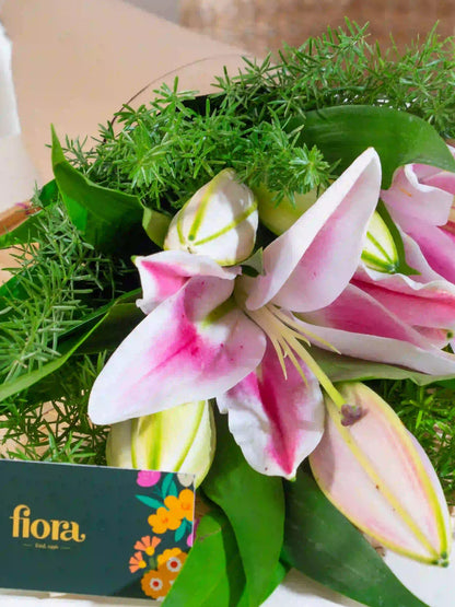 Oriental Lily